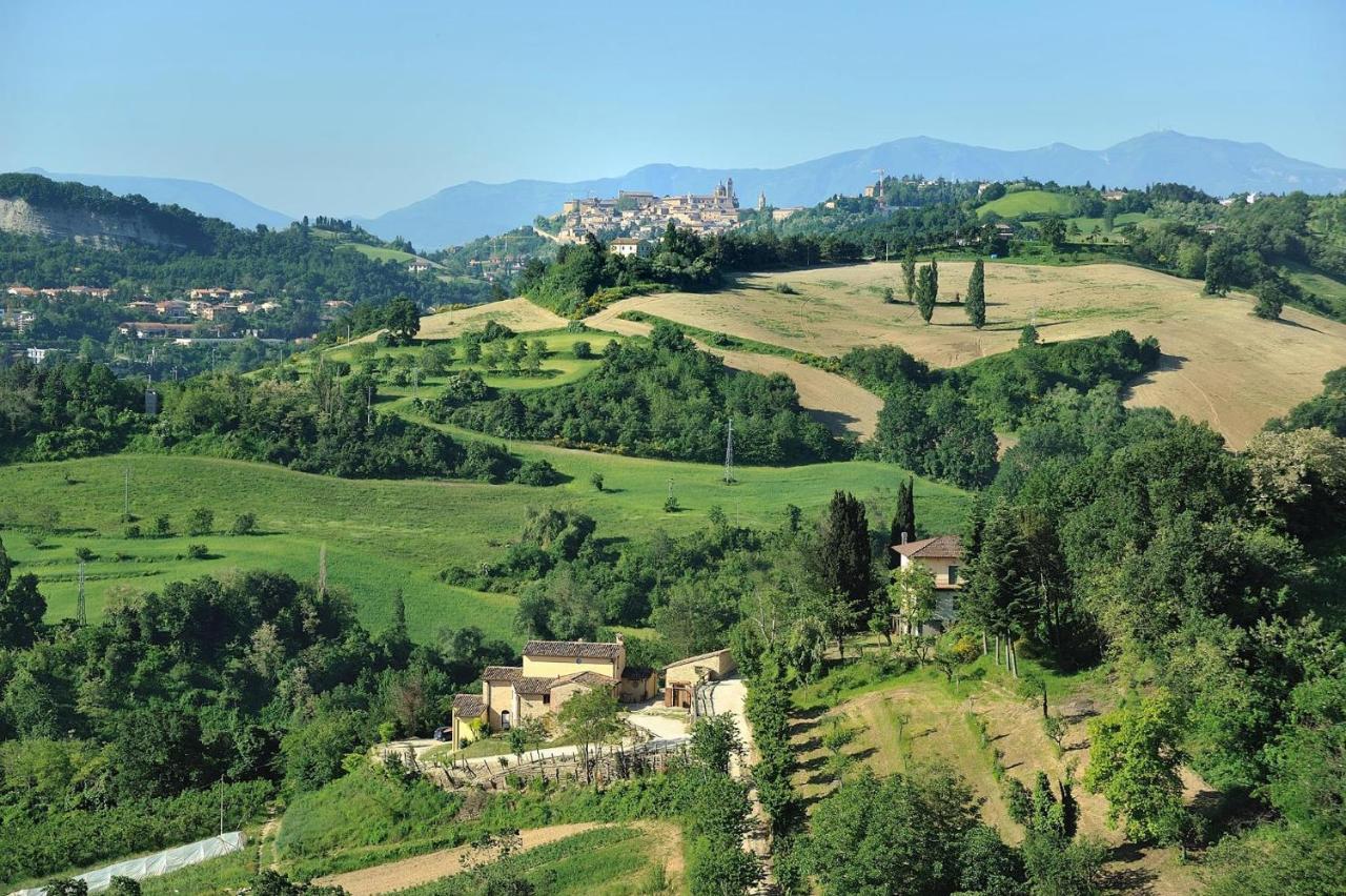 Country House Ca' Vernaccia Guest House Urbino Bagian luar foto