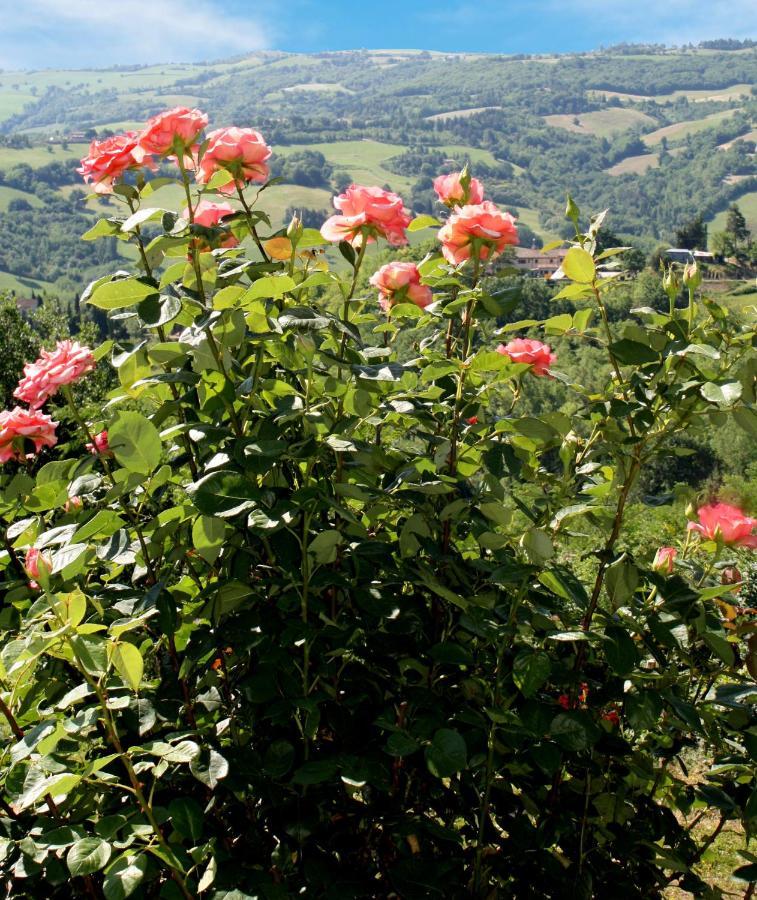 Country House Ca' Vernaccia Guest House Urbino Bagian luar foto