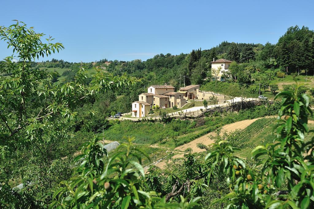 Country House Ca' Vernaccia Guest House Urbino Bagian luar foto