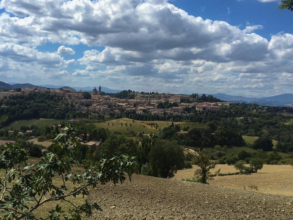 Country House Ca' Vernaccia Guest House Urbino Bagian luar foto